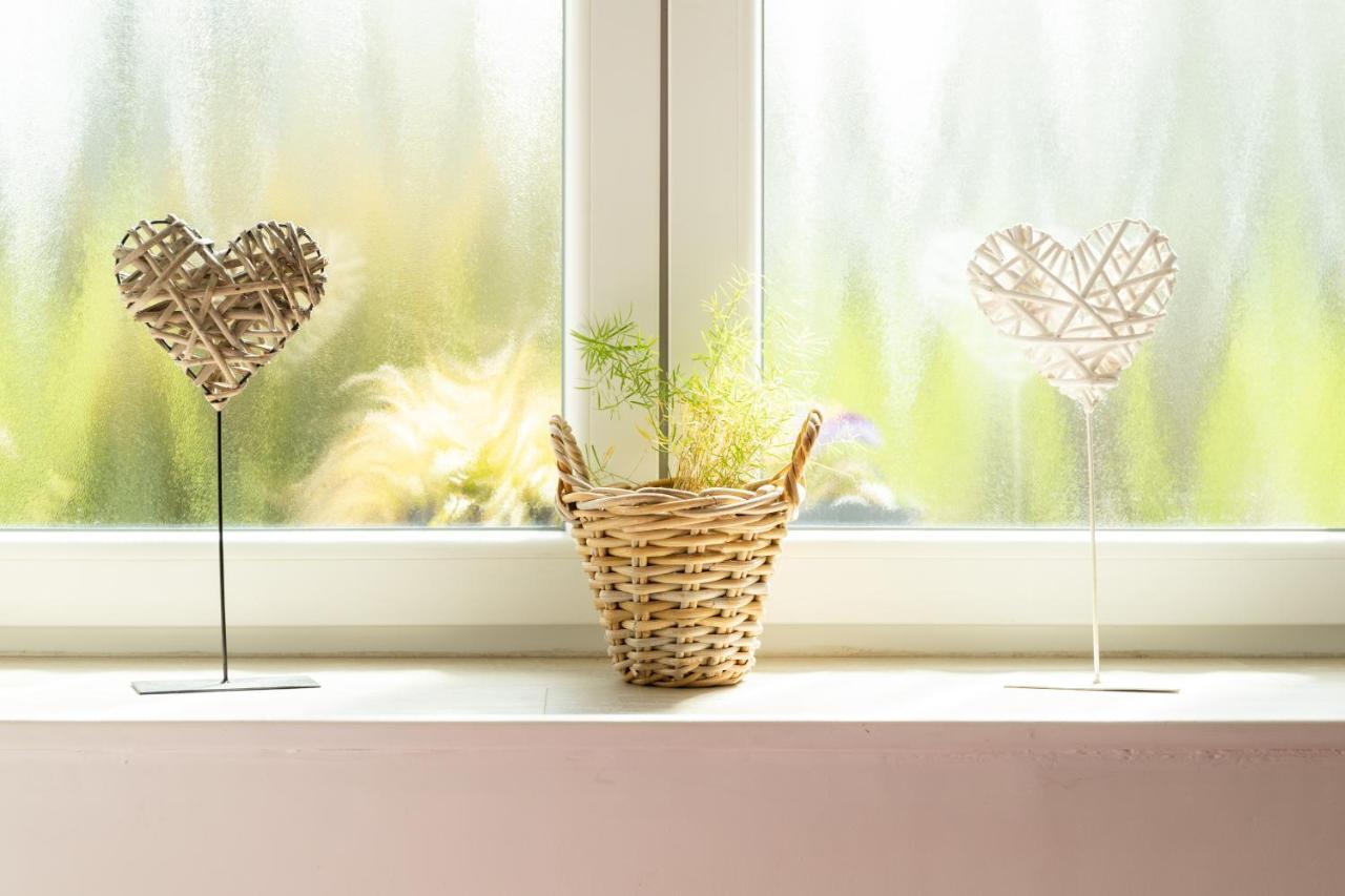 Studio Bienvenue Du Cote De Chez Nous Avec Jardin Privatif Wignehies Εξωτερικό φωτογραφία
